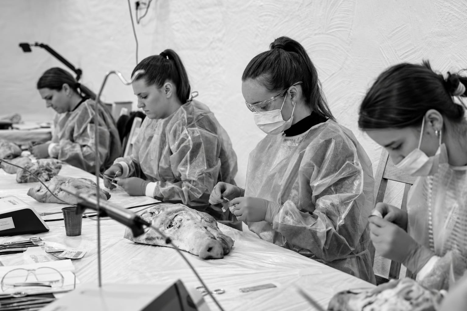 Černobílý snímek účastnic při nácviku sutury na preparátech